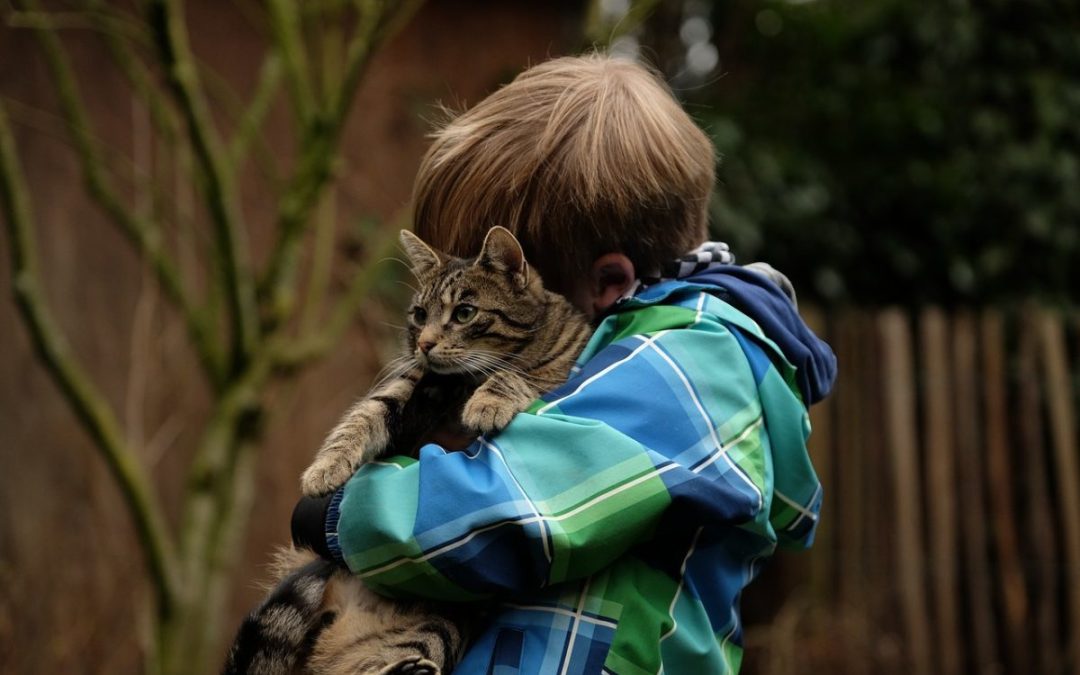 ¿Por qué los gatos son buenas mascotas para los niños?