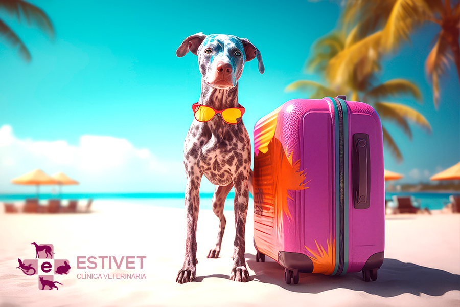 Guía completa para viajar con tu mascota