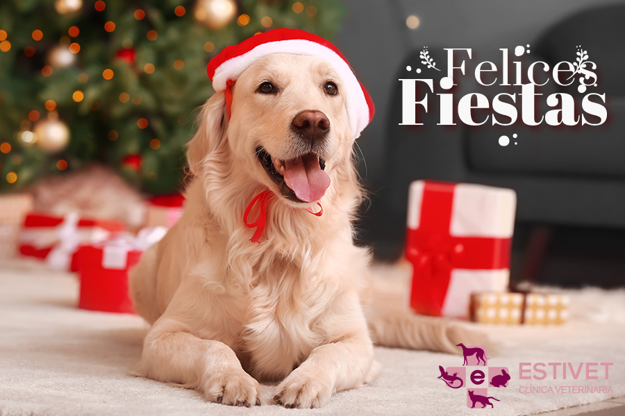 ¡Felices Fiestas y un próspero Año Nuevo desde Estivet!