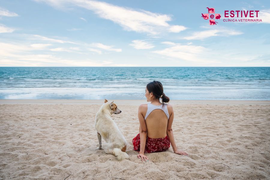 Planes con tu mascota en verano