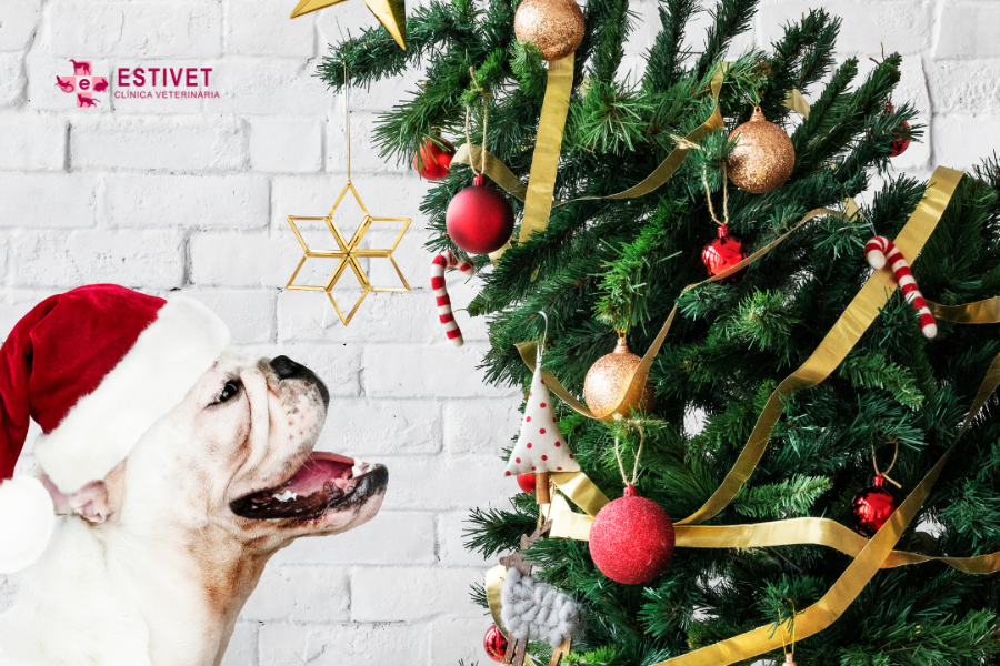 10 consejos para tener una navidad segura con tu mascota